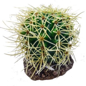 SOMA ENFEITE DE RESINA PARA AQUÁRIO CACTUS 106 (099100) - UN