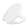 Assento Sanitário Oval em Polipropileno Dimantina Sabara Tupan - 1