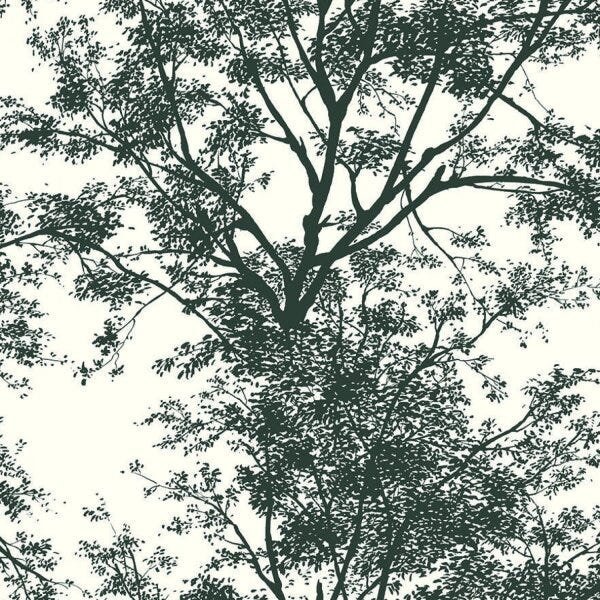 Papel de Parede Vinílico Rolo Black e White YV9012 Porto Design - 1
