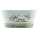 Ver imagem 1 de Kit 10 Mini Vasos de Planta Cachepot Estampados Decorados 9cm