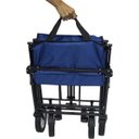 Ver imagem 6 de Carrinho Dobrável Articulado com Cobertura Transporte Camping Praia Pesca Importway Iwcdcac Azul
