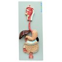 Ver imagem 2 de Sistema Digestório em 3 Partes Modelo Anatomia