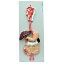 Ver imagem 1 de Sistema Digestório em 3 Partes Modelo Anatomia