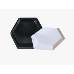 Molde Abs 2mm Placas Gesso 3d E/ou Cimentícia Hexágono Duplo - 2