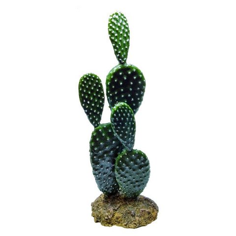 SOMA ENFEITE DE RESINA PLANTA CACTUS 102 (076510) - UN