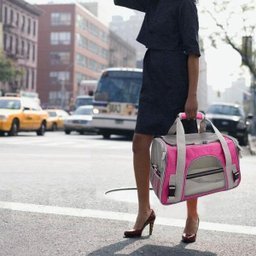 Bolsa De Transporte Pet Avião Para Cães E Gatos Luxo - 6