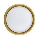 Ver imagem 7 de Plafon LED Sobrepor Yael Redondo 25W Dourado c/ Branco 3 Cores de Luz Luminatti ST3357