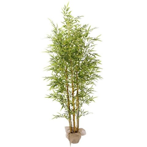 Planta Bamboo da Sorte Luxo 7 Galhos Real Folhas Verde 180cm