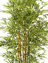 Ver imagem 2 de Planta Bamboo da Sorte Luxo 7 Galhos Real Folhas Verde 180cm