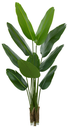 Ver imagem 1 de Planta Árvore Artificial Bananeira de Jardim Real Toque X10 Verde 1,60m