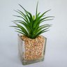 Suculenta Com Vaso Agave Fina 18x13cm Planta Artificial - 2