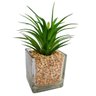 Suculenta Com Vaso Agave Fina 18x13cm Planta Artificial - 1