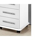 Ver imagem 3 de Balcão Gaveteiro 04 Gavetas Açaí Branco com Rodinhas Oferta