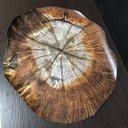 Ver imagem 5 de Kit de Jogo Americano Tronco de Arvore 35cm X 45cm 12 Uni.