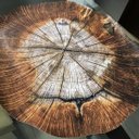 Ver imagem 6 de Kit de Jogo Americano Tronco de Arvore 35cm X 45cm 12 Uni.