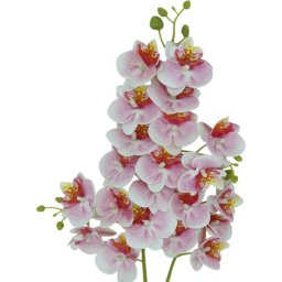 Haste Orquídea Delicada 3d Artificial de 75cm Realista para Decoração - 1