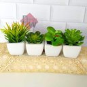 Ver imagem 6 de Suculenta Artificial Mini Vaso de Cerâmica Branco