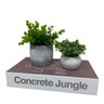 Trio decorativo livro, mini vaso branco e vaso de cimento - 2