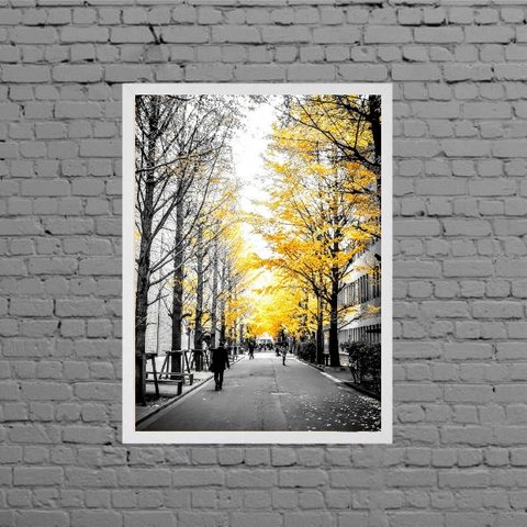 Quadro Fotografia Árvores Folhas Amarelas 24x18cm:Madeira preta