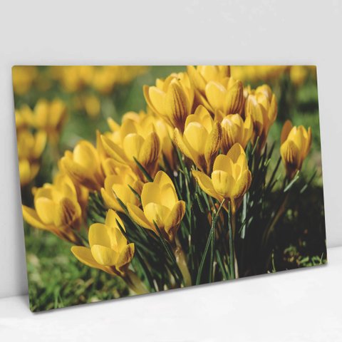 Quadro Decorativo em Canvas Floral Flores Amarela TaColado Moldura Preta 90 x 60cm