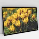 Ver imagem 2 de Quadro Decorativo em Canvas Floral Flores Amarela TaColado Moldura Preta 90 x 60cm