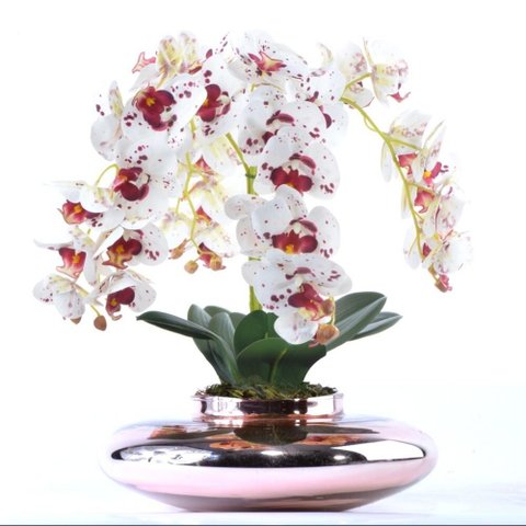 Arranjo 4 Orquídeas Artificiais Tigre em Terrário Rose Gold Bel