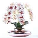 Ver imagem 1 de Arranjo 4 Orquídeas Artificiais Tigre em Terrário Rose Gold Bel