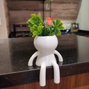 Ver imagem 2 de Vaso Sentado 13 cm Suculentas Robert Plant Decoração Decorativo Branco