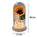 Ver imagem 4 de Luminária Love O Girassol Encantado 28 Cm Presente para Namorada Presente De Natal Presente dia das 