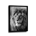 Ver imagem 2 de Quadro Leão Majestoso PB -- BR ARTES