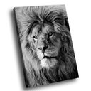 Ver imagem 1 de Quadro Leão Majestoso PB -- BR ARTES