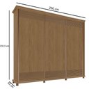 Ver imagem 5 de Guarda Roupa 250cm 3 Portas Deslizante sem Espelho 4 Gavetas Doratto F08 Freijó - Mpozenato