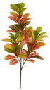Ver imagem 1 de Planta Árvore Artificial Cróton Real Toque X63 Vermelho 1m