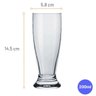 Jogo de 12 Copos Tulipa Munich de Vidro 200ml para Chopp e Cerveja Nadir Figueiredo - 3