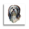 Quadro Cachorro Sheepdog Canvas 80X80Cm Borda Infinita B087 - 3