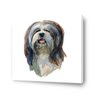 Quadro Cachorro Sheepdog Canvas 80X80Cm Borda Infinita B087 - 1