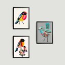 Ver imagem 1 de Kit 3 Quadros Passarinhos Coloridos 24x18cm - com vidro:Madeira preta