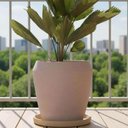 Ver imagem 6 de Kit 4 Pratos Grandes para Vaso de Flor Folhagem Jardim Polietileno Tramontina Areia