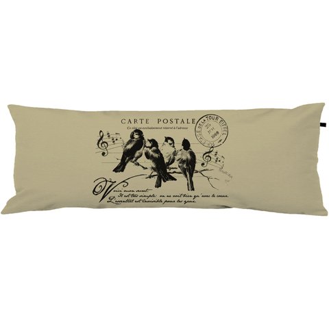 Travesseiro De Corpo Body Pillow 40x130cm Pássaros - Capa com enchimento
