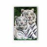Quadro Casal Tigre Vertical - Tela Única - 60 x 40 cm - Chassi - 1