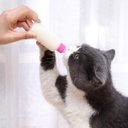 Ver imagem 6 de Mamadeira Pet Cao Gato Filhote Cachorro 60ml Kit 2 Unidades Cor Sortida Amamentaçao Animal de Estima