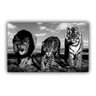 Quadro Felinos Selvagens Impacto Preto e Branco - Tela Única - 200 x 120 cm - Branca - 1