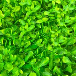 Muro Buchinha Jardim Vertical Inglês 4 Placas - 2