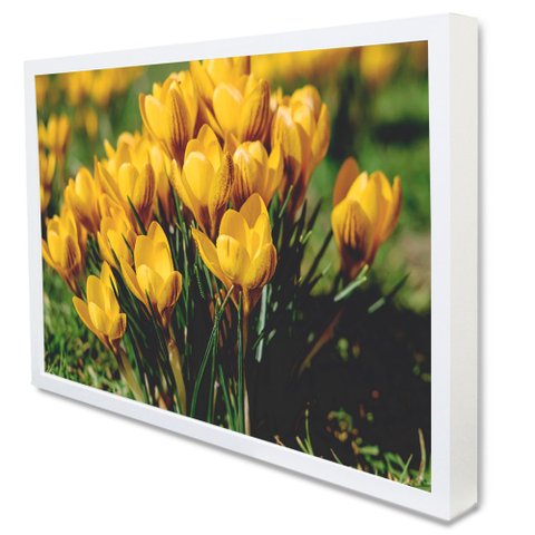Quadro Decorativo Caixa Alta com Vidro Floral Flores Amarela TaColado Moldura Branca 90 x 60cm