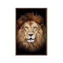 Ver imagem 1 de Quadro Decorativo - Leao Grande Rei Colorido Anm012 Tela Canvas - 60x40cm