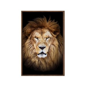 Quadro Decorativo - Leao Grande Rei Colorido Anm012 Tela Canvas - 60x40cm