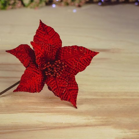 Flor Natalina Poinsetia Vermelha com Textura 25cm | Formosinha