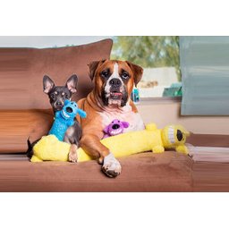 Brinquedo Pet para cães Loofa Dog com 30 cm Roxa - 3