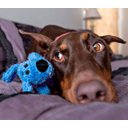 Ver imagem 2 de Brinquedo Pet para cães Loofa Dog com 30 cm Azul