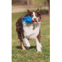 Ver imagem 3 de Brinquedo Pet Globken Chicken de 17 cm Azul